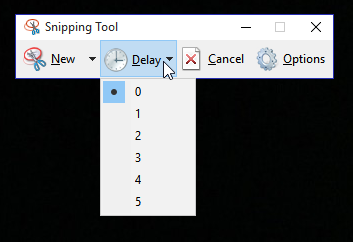 Snipping Tool Delay Time